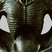 仏陀の教え-人生とは「苦」を背負って生きていく道