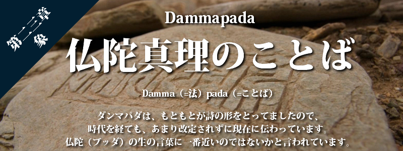 第二三章象