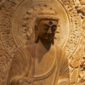 仏陀の教え－思想